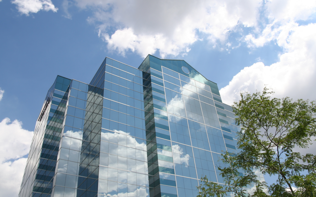 Aziende B Corp: cosa significa e cosa sono