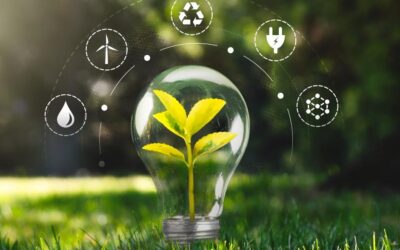 Transizione ecologica: raccontiamola senza retorica